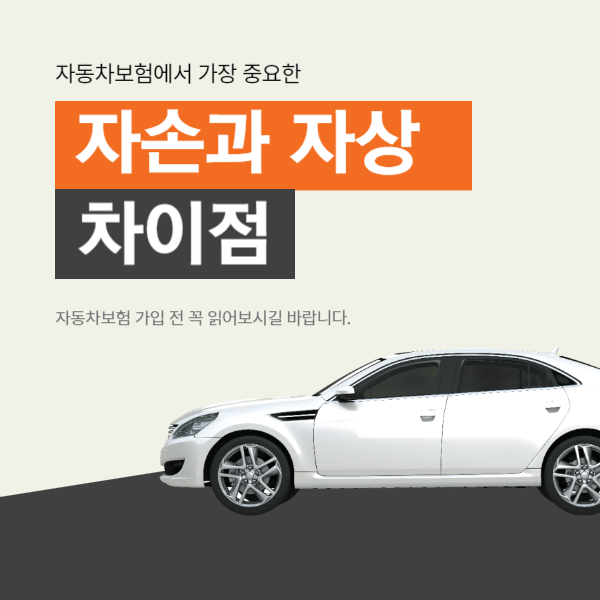 자동차보험 자손과 자상의 차이점