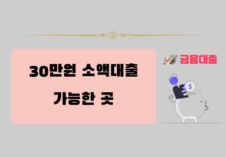30만원 소액대출