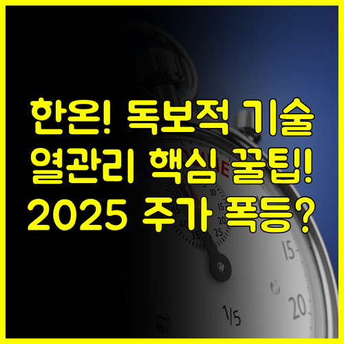 한온시스템 전기차 열관리 독보적 기술력, 2025년 하반기 주가는 우상향?