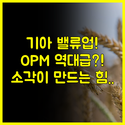 기아 주가 밸류업 확정적 견고한 OPM과 자사주 소각이 만드는 하방 경직성