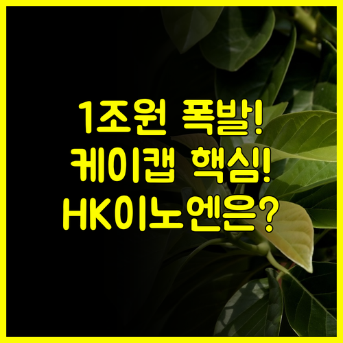 HK이노엔 2025년 실적 전망 매출 1조 케이캡 모멘텀 분석