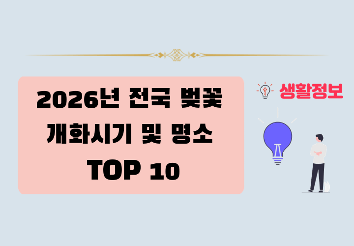 2026년 전국 벚꽃 개화시기 및 명소 TOP 10